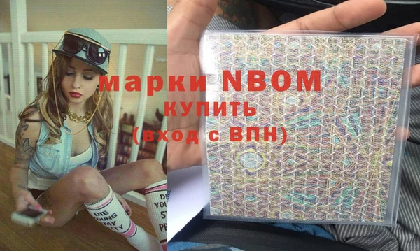 прущие грибы Михайловск
