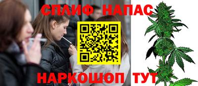 гидра Дубна