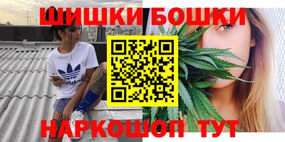 гидра Дубна