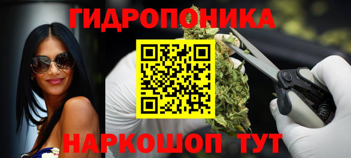 Бошки Шишки сатива Мелеуз